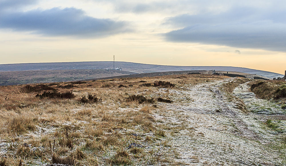 Cat & Fiddle